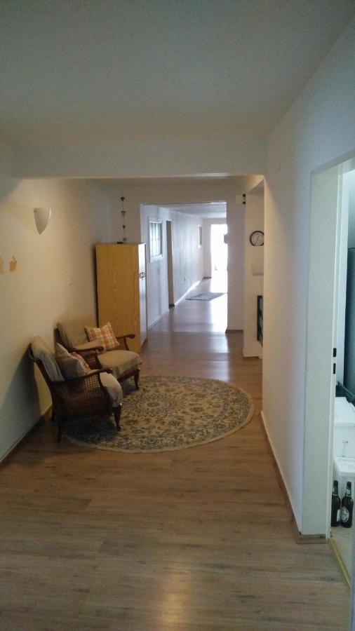 Pension Wiesental Zewnętrze zdjęcie